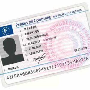 Buy Registered French Drivers licence